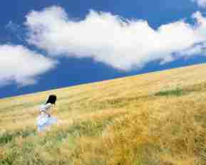 怎‌么​进﻿行﻿seo自‌动‌优‌化‍